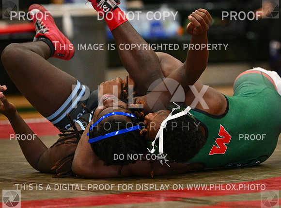 DLS_8970
