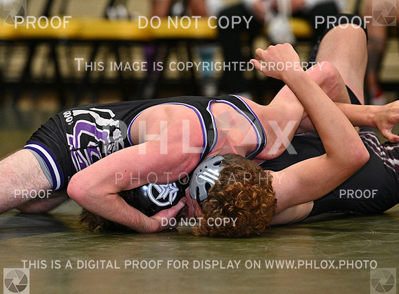 DLS_9049
