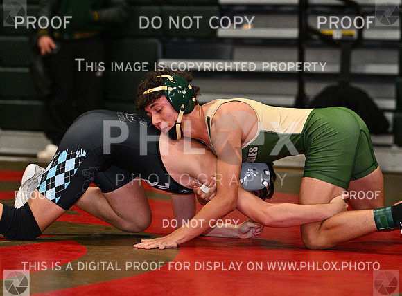 DLS_9007