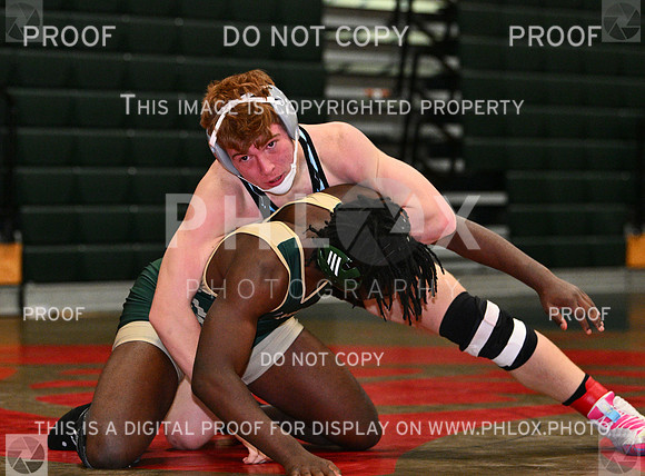 DLS_8951