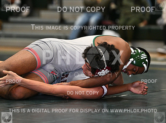 DLS_9054