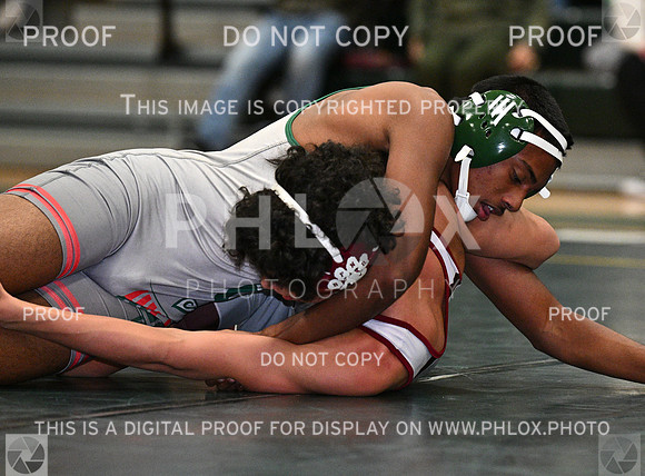 DLS_9056