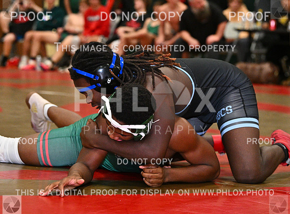 DLS_8994
