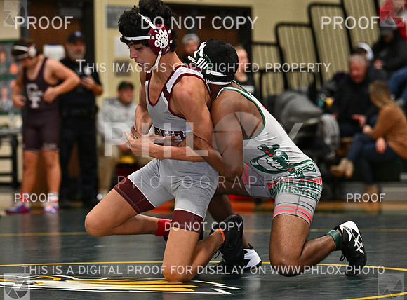 DLS_9027