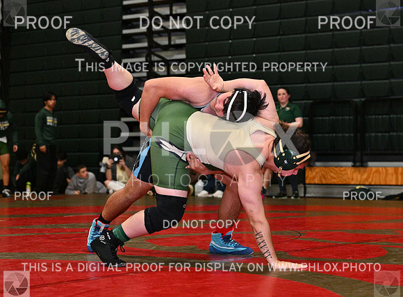 DLS_8963