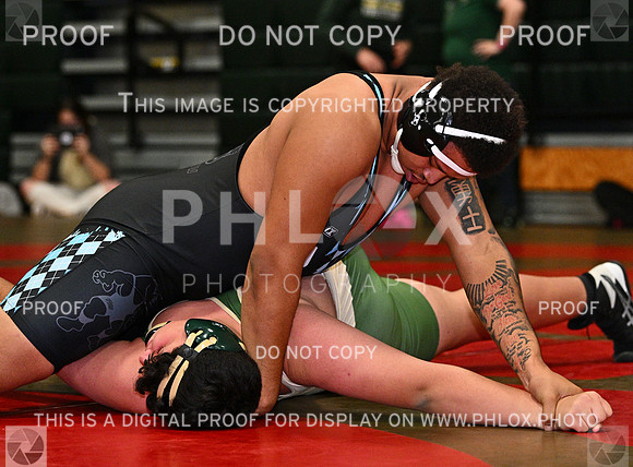 DLS_9000
