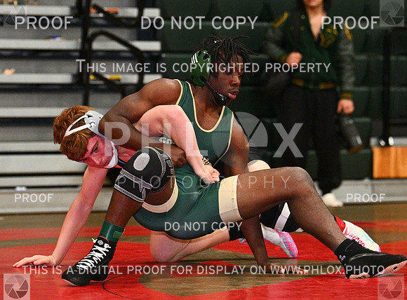 DLS_8948