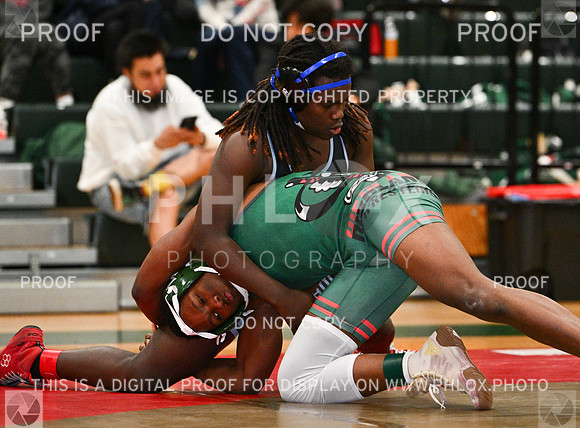 DLS_8965