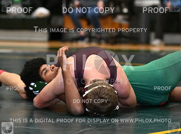 DLS_8978