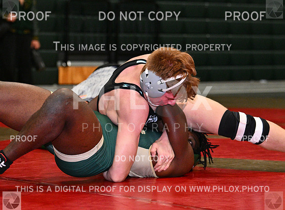 DLS_8952