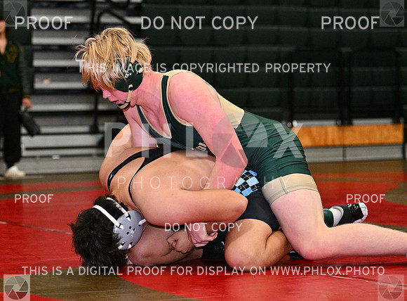 DLS_8960