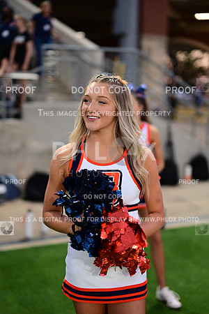 TOM_3066