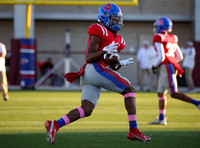 DDN_6253