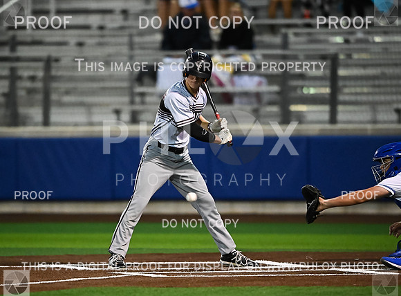 DLS_0993