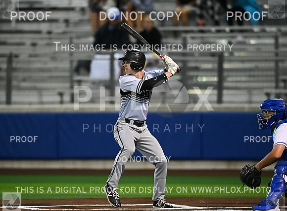 DLS_0990
