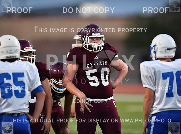 FDS_6057