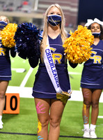ND5_3838