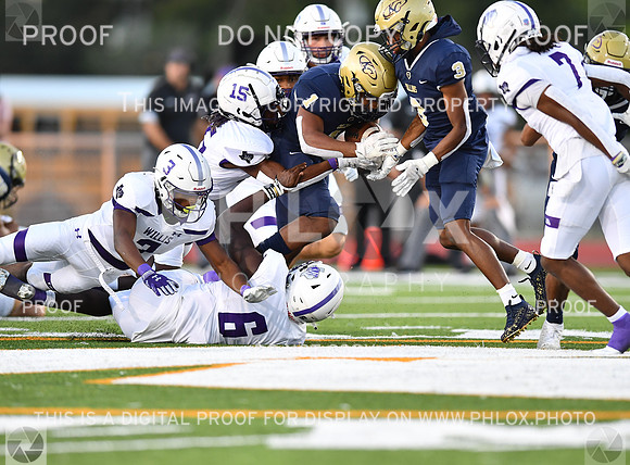 FDS_1672
