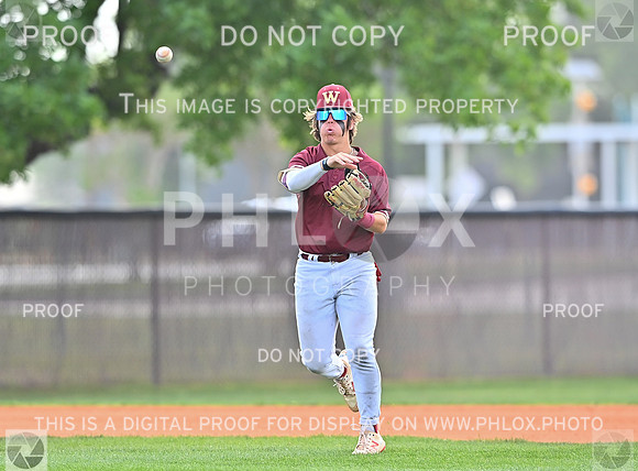 DLS_3817