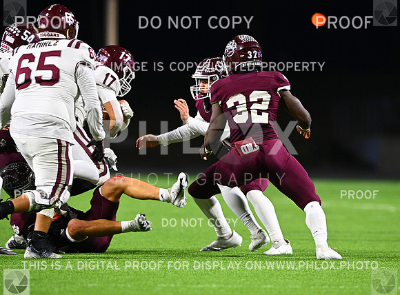 DLS_8102