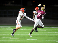 JO6_3378