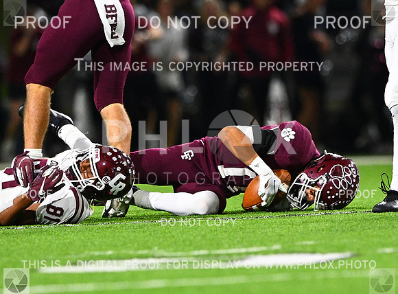 DLS_8865