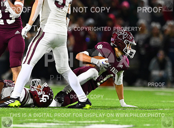 DLS_8866