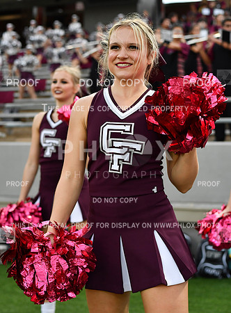 FDS_4054