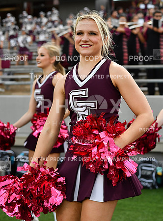 FDS_4052