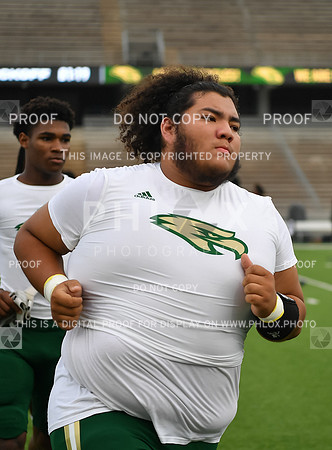 CAR_1239