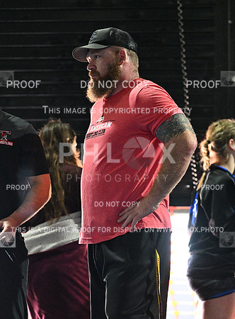 DLS_7495
