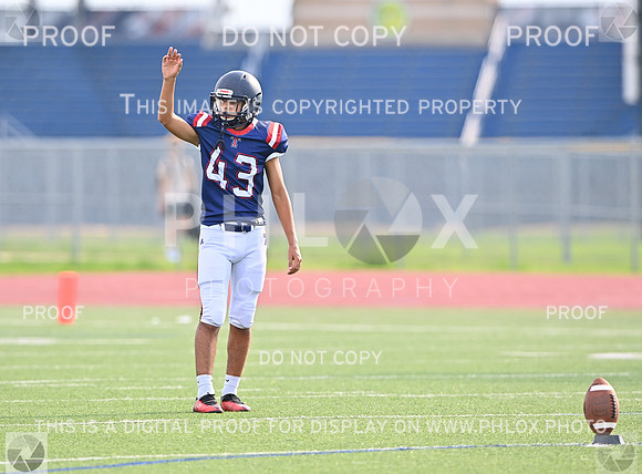 DLS_3770