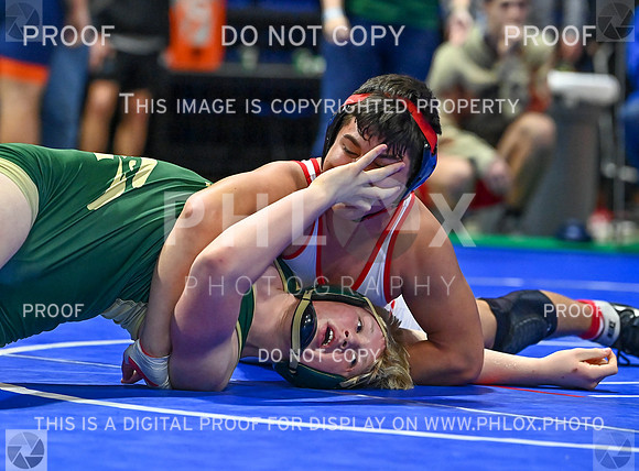 DLS_9646