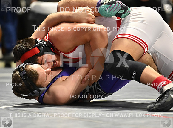 DLS_8763
