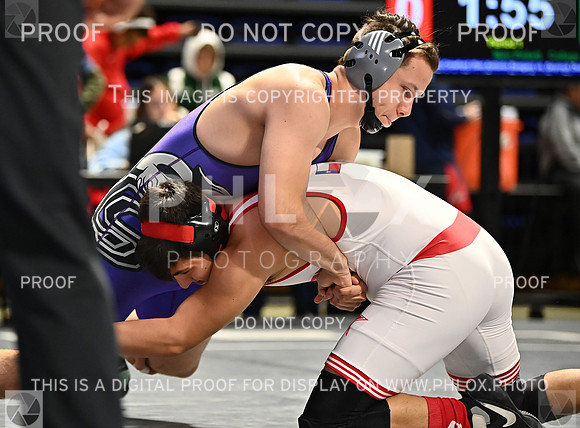 DLS_8759