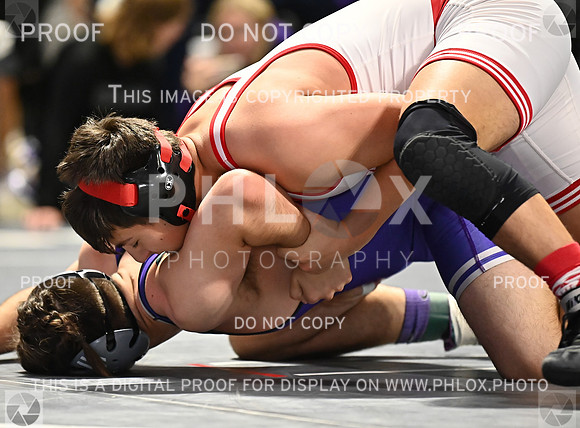 DLS_8768