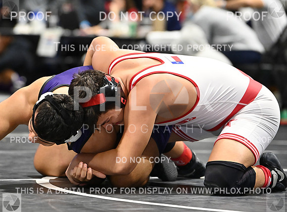 DLS_9480
