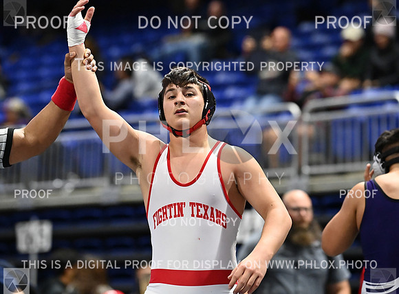 DLS_9493