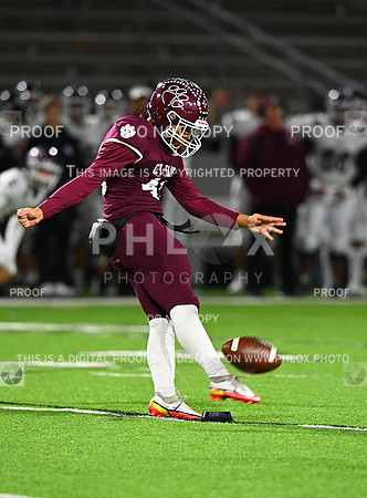 DLS_8012