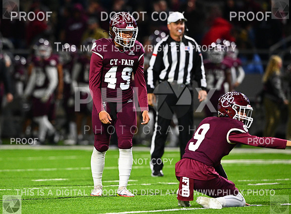 DLS_8777