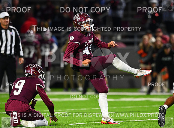 DLS_8789