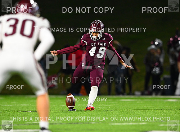 DLS_8806
