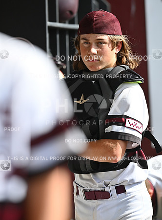 DLS_4311