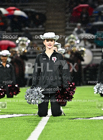 DLS_7732