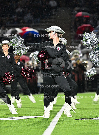 DLS_7747