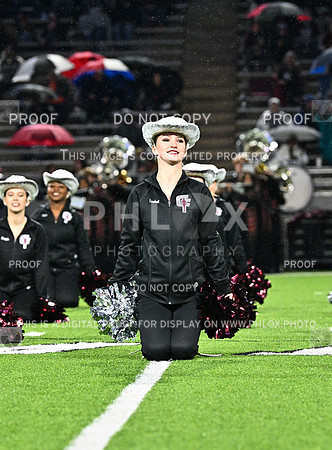 DLS_7817