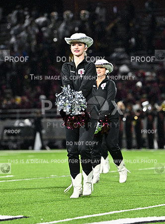 DLS_7781