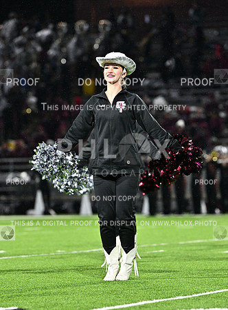 DLS_7784
