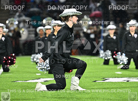 DLS_7660