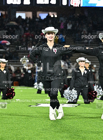 DLS_7687
